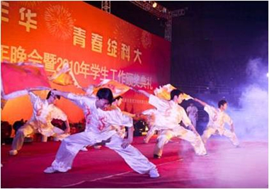 太極扇武術表演